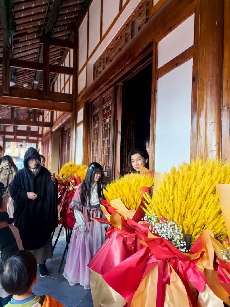 台山市文旅项目策划